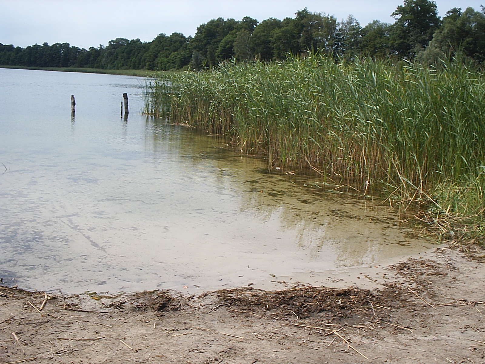 Read more about the article La Mia Doppia Vita: Neve Imprevista e Sesso Proibito in Fattoria
