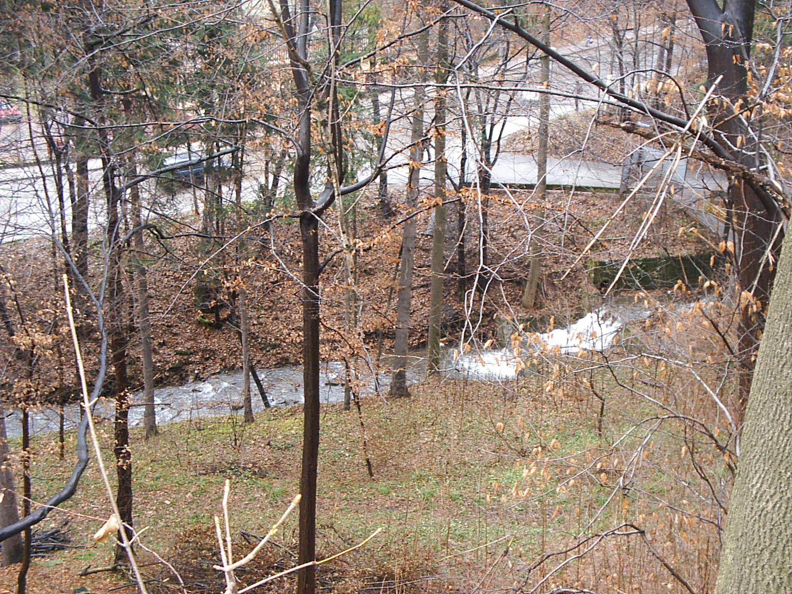 You are currently viewing La Mia Doppia Vita: Il Segreto con il Vicino